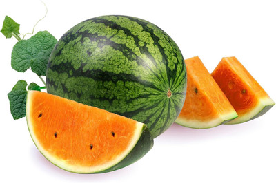 KNESSiN Non GMO Tendersweet Orange Watermelon Seeds For Kitchen Gardening-(100 Seeds) Seed(100 per packet)