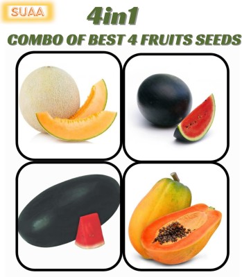 SUAA 4 Variety of Combo Fruit Seed(100 per packet)