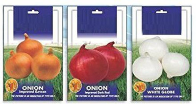 VibeX VXI-10-Onion Improved Variety 3-TYPES Seeds Combo Seed(105 per packet)