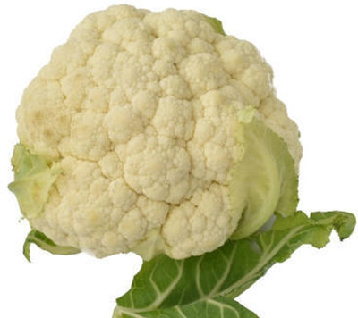 Majello white cauliflower,gobhee seeds Seed(30 per packet)