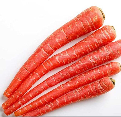 KANAYA Gajar Seed(15 per packet)