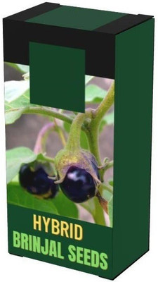 CYBEXIS XLR-23 - BRINJAL/BAINGAN - (1350 Seeds) Seed(1350 per packet)