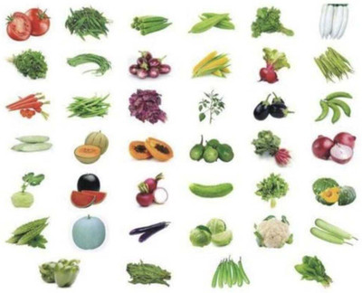 FRESHO All Mixed Vegetable Seeds Seed(275 per packet)