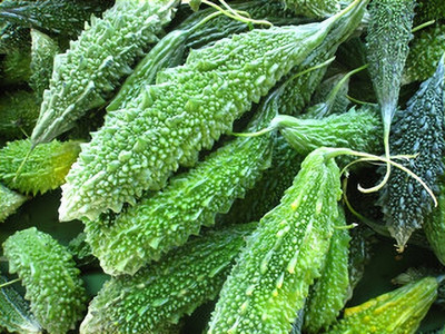 Chalissa F1 BEST QUALITY BITTER GOURD SEEDS Seed(11 per packet)