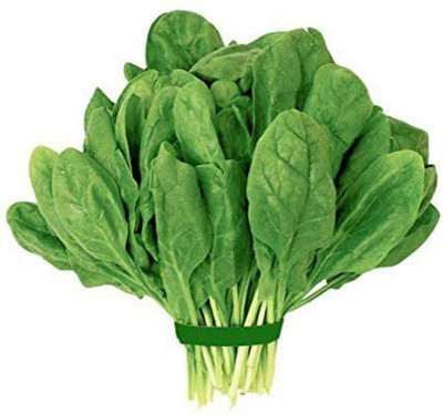 Cloud Farm Spinach Seed(75 per packet)