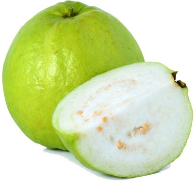 Quentova Guava, Amrood-NTL-5C Seed(50 per packet)