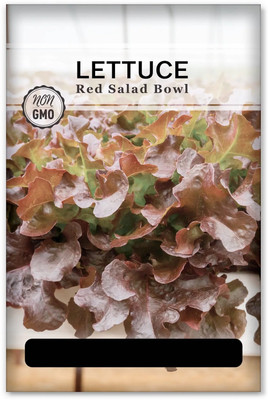 Quentova Red Salad Bowl Lettuce 0.5gm Seed(400 per packet)