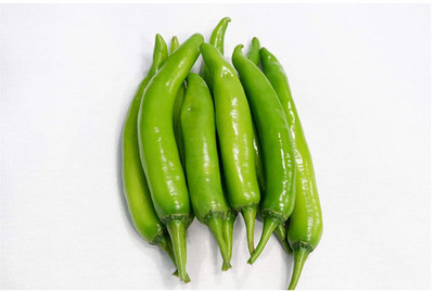 granthi Big Green Chili हरी मिर्च Seed(2000 per packet)