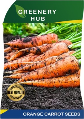 Greenery Hub Bright Orange Carrot Seeds for Small Gardens Seed(50 per packet)