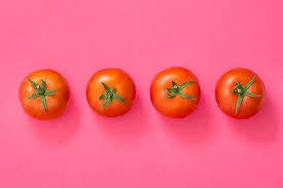 XOLDAA kashmiri hybrid tomato seeds Seed(70 per packet)