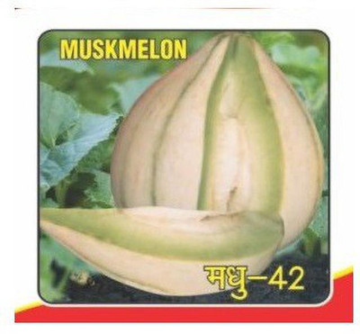WILLVINE LX-167 Hara Madhu Kharbuj / Musk Melon Seed(200 per packet)
