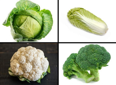 Cloud Farm Napa Cabbage, Cabbage, Cauliflower & Broccoli Seed(4 per packet)