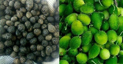 ibains Kantola seeds desi Seed(26 per packet)