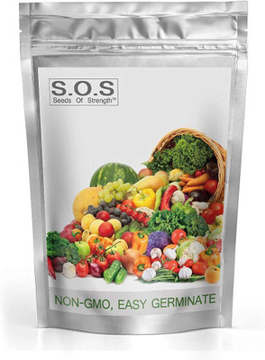 CYBEXIS Seeds Vegetable Fruit Seeds (11 Variety) Seed(10 g)