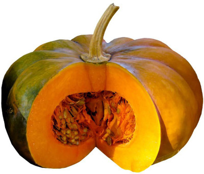 CYBEXIS VXI-70 - Pumpkin / Natural Parangikai - (300 Seeds) Seed(300 per packet)