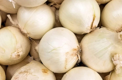 VibeX LXI-22 - Early White Grano PRR Onion - (4500 Seeds) Seed(4500 per packet)