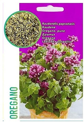KNESSiN Imported Oregano Seed(200 per packet)