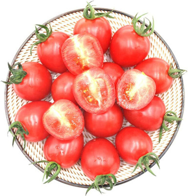 KNESSiN XI-19 Tomato Bright Color Seed(200 per packet)