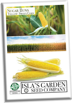WILLVINE ROX -VIII Sugar Buns Sweet Yellow Corn Seeds-[25g] Seed(100 per packet)