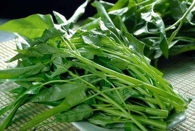 VibeX XL-46 - Water Spinach Kangkong - (250 Seeds) Seed(250 per packet)