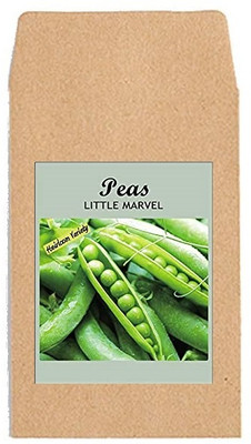 KNESSiN ACT-3 Peas Little Marvel Seed(100 per packet)