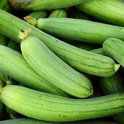 KNESSiN Sponge Gourd (Tori) Seeds Seed(100 per packet)