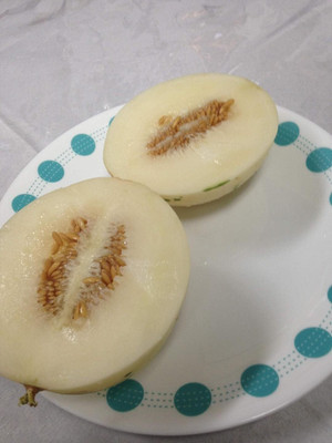 Qualtivate XXX-9A Snow Leopard Melon Seed(200 per packet)