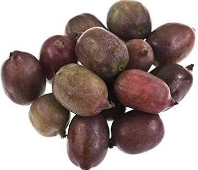 Aywal PREMIUM HYBRID SWEET KIWI Seed(60 per packet)