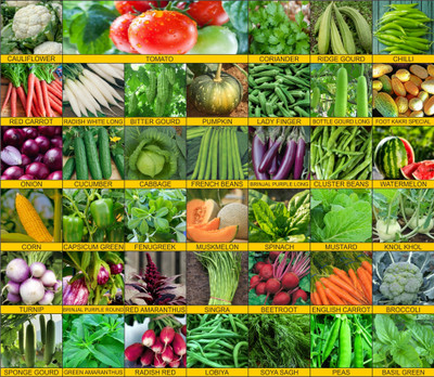 Agrey Agrey combo of 40 variety vegetable seeds with instruction manual. Seed(40 per packet)