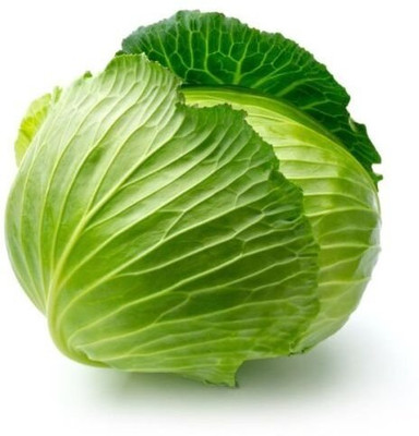 KNESSiN Cabbage For Home Bonsai[400 Seeds] Seed(400 per packet)