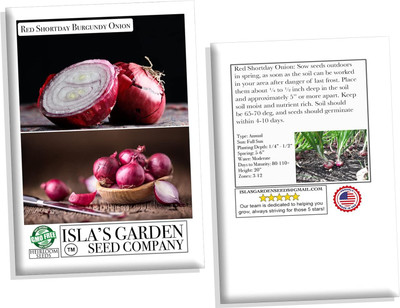 WILLVINE PUAS -VI Red Shortday Burgundy Onion Seeds [2.5g] Seed(1500 per packet)