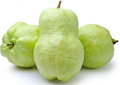 Quentova Guava, Amrood-TKK-2U Seed(50 per packet)