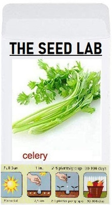 KNESSiN Celery Seed(200 per packet)