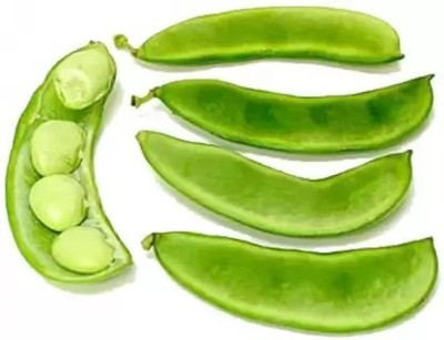 MAA Dolichos, Dolichos Beans Seed(37 per packet)