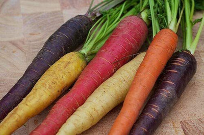 CYBEXIS F1 Hybrid Rainbow Blend Carrot Seed2000 Seeds Seed(2000 per packet)
