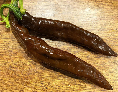 Biosnyg F1 Hybrid Pasilla Bajio Raisin Pepper Seeds For Planting-(2000 Seeds) Seed(2000 per packet)