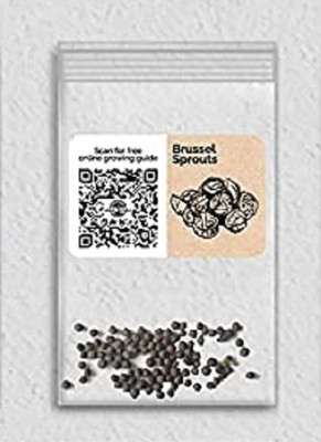 WILLVINE Non-GMO F1 HybridBrussel Sprouts-5000 Seeds Seed(5000 per packet)
