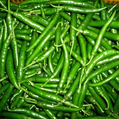 PMA Green Chilli seed, Mirchi seed, lonka Seed(75 per packet)