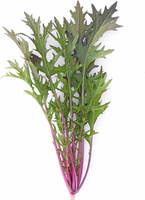 Qualtivate PUA5-A Mustard - Red Mizuna Seed(300 per packet)