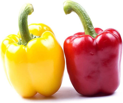 CYBEXIS Mixed Capsicum Seeds2400 Seeds Seed(2400 per packet)