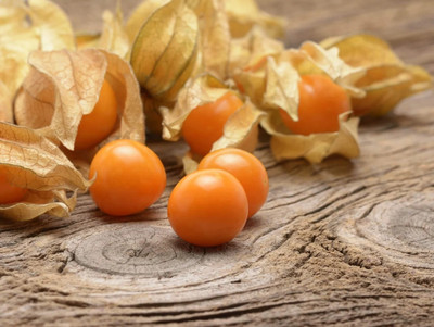 QALANDAR Cape Gooseberry Ground Cherry Goldenberry Seed(50 per packet)