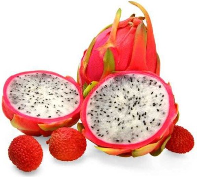 Oliver f1 QUALITY dragon fruit Seed(45 per packet)