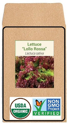 CYBEXIS Hybrid Seeds-Lettuce Lollo Rossa1000 Seeds Seed(1000 per packet)