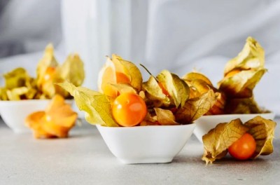 CEZIUS Lantern Fruit Plant Golden/Cape Gooseberries (Physalis peruviana) Seed(40 per packet)