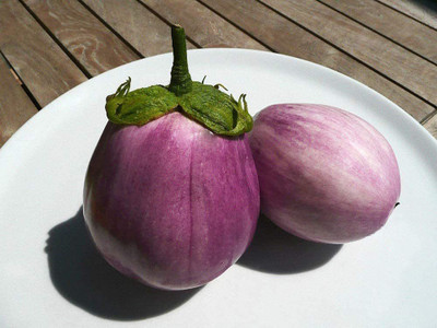 VibeX ® XLR-550 Brinjal Aubergine Round Heirloom Seed(200 per packet)