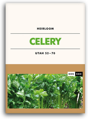 Qualtivate PUAS-212 Celery Tall Utah Seeds Seed(500 per packet)