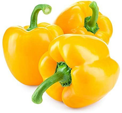 CYBEXIS LXI-39 - Yellow Capsicum Vegetable - (1350 Seeds) Seed(1350 per packet)
