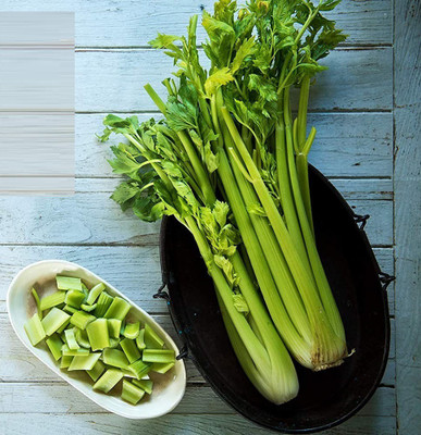 CYBEXIS TLX-7 - Celery Tall Utah - (750 Seeds) Seed(750 per packet)