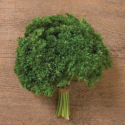 CYBEXIS TLX-58 - Parsley Darki - (750 Seeds) Seed(750 per packet)