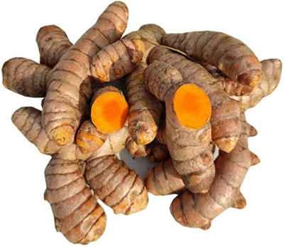 GREENSEA Organic Raw Turmeric, Kacha Haldi, Halud Seed(150 g)